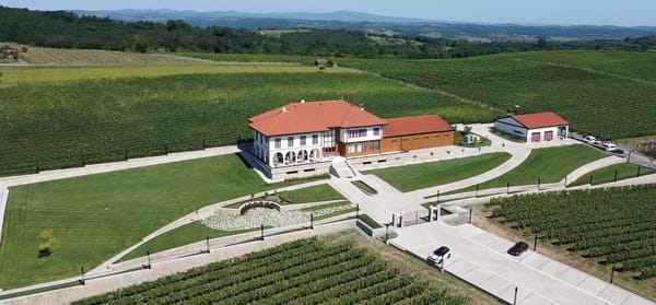 Vinarija Lastar - magija Levačkog Vinogorja u čaši
