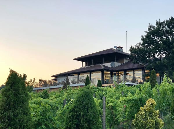 Vinarija Tarpoš – vino koje nosi pečat Šumadije