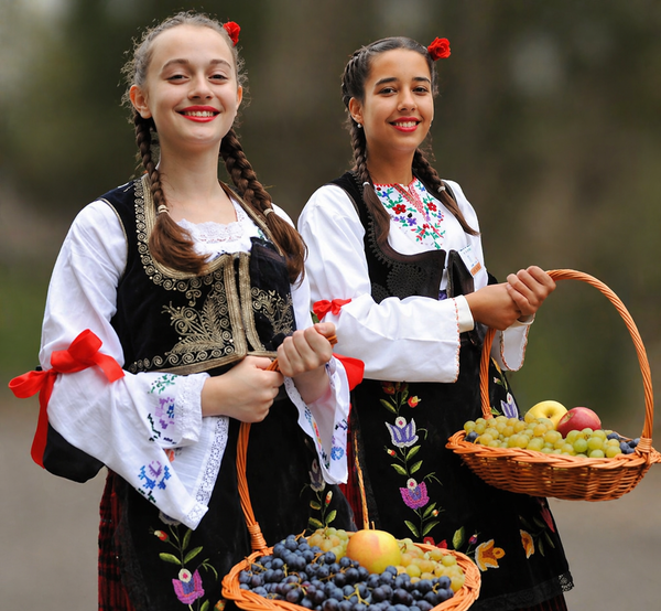 Oplenačka berba – vino, tradicija i duh Šumadije