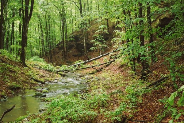 Bešnjaja – outdoor avantura nadomak Kragujevca