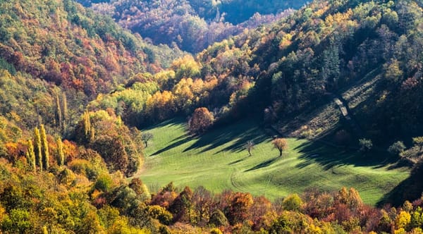 Gledićke planine – skrivena priroda između dolina i vremena