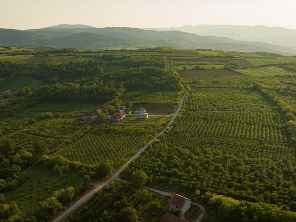 Zavet – rakija kao porodično obećanje iz srca Šumadije